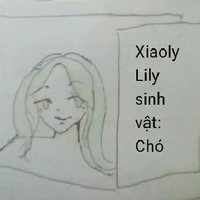 Xiaoly Lily