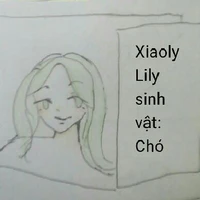 Xiaoly Lily