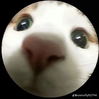 cả lớp