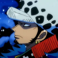 Law