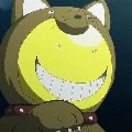 korosense