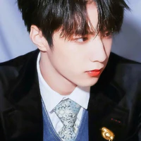 Lưu Diệu Văn_22