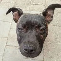 tất cả m.n ở đó