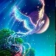 phượng hoàng thiên nhiên- D.T
