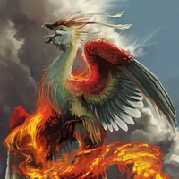 phượng hoàng lửa(pet shiira)