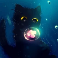 mèo đen-pet sina-
