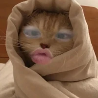 con tg chuyên làm chuyện răm 🌚