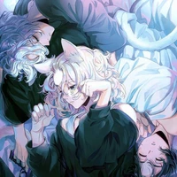 Tác giả buồn tẻ - Shizuku