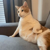 All