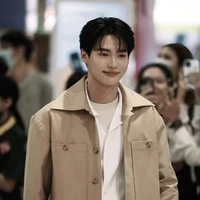 winmetawin