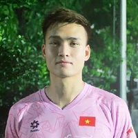 Việt Anh