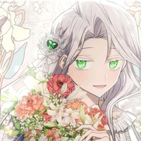 amaryllis