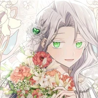 amaryllis