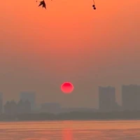 Tất cả những huynh đệ