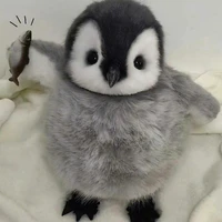 tác giả phèn🙂