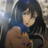 Mikasa Ackermen