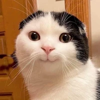 Con khùng này chính là t/g !!