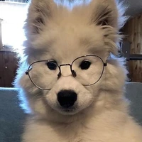 Đa giáo viên