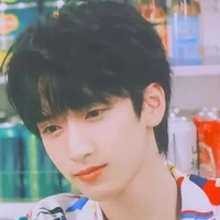 Nghiêm Hạo Tường