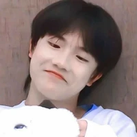 Tô Tân Hạo_y