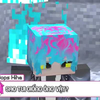 Hiha Des