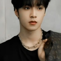 Lưu Diệu Văn 