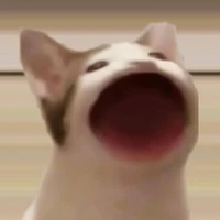 All mọi người có mặt ở đây