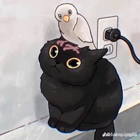???
