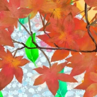 Hệ thống Restton