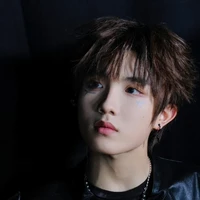 Tô Tân Hạo (Hắn)