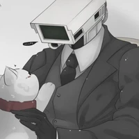 cameraman(roy)
