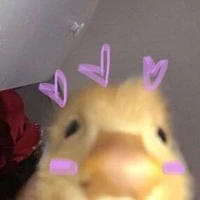 tác giả cần likee😠