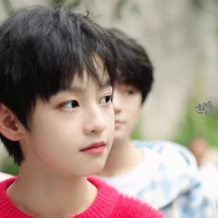 Dương Hàm Bác