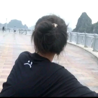 hệ thống xuynh đệp :))))