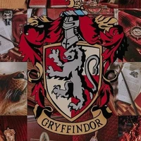 đàn anh Gryffindor