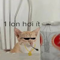 tác giả đây