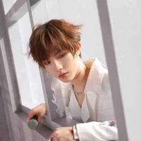 Tô Tân Hạo ( Tiểu Tô )