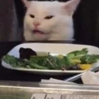 Mọi người trong lớp