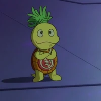 mozzo