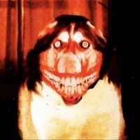 Smile Dog