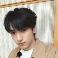 Nghiêm Hạo Tường