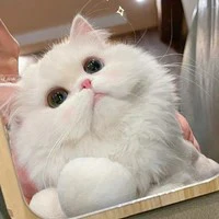 miru [dạng mèo]