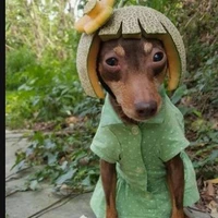 tác giả của tóc Tiên