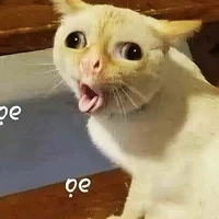 Mồm lèo