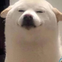 Ngáo điên