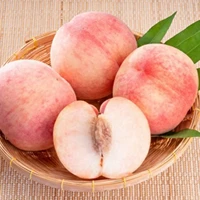 nhân vật phụ