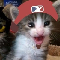Tác giả