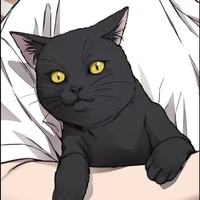 Jack- Mèo tên chó