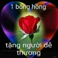 t/g xamlon°}