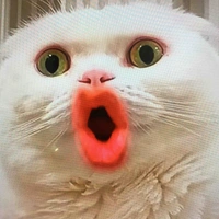 Kênh chat